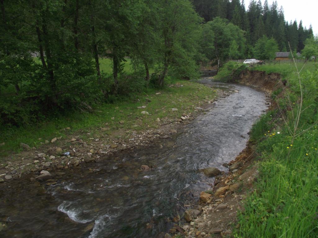 Cabana Piatra Runcului Vatra Moldoviţei Zewnętrze zdjęcie