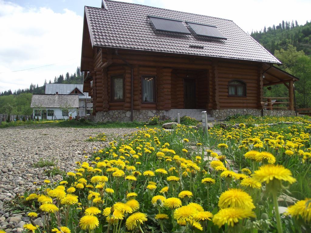 Cabana Piatra Runcului Vatra Moldoviţei Zewnętrze zdjęcie