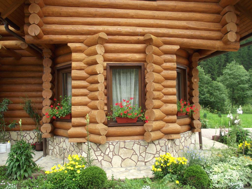 Cabana Piatra Runcului Vatra Moldoviţei Zewnętrze zdjęcie
