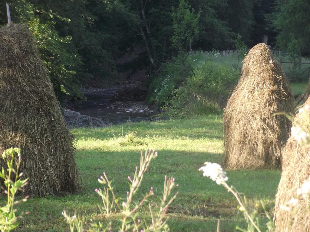 Cabana Piatra Runcului Vatra Moldoviţei Zewnętrze zdjęcie