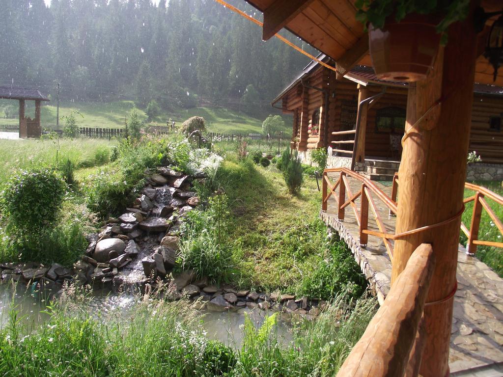 Cabana Piatra Runcului Vatra Moldoviţei Zewnętrze zdjęcie