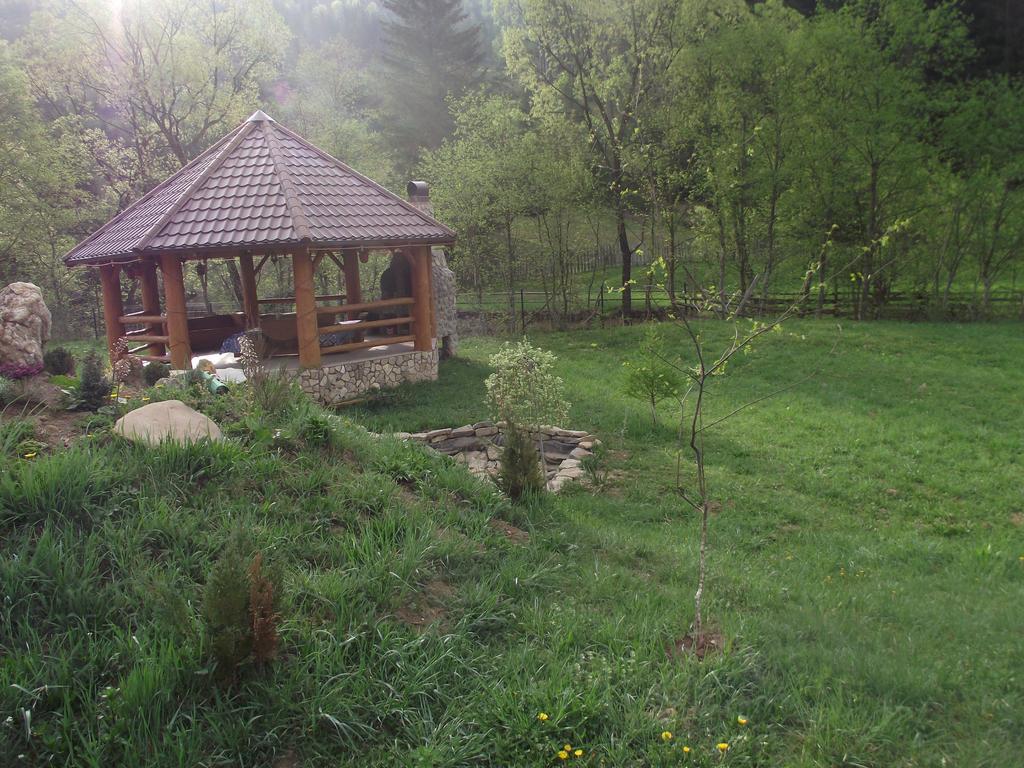 Cabana Piatra Runcului Vatra Moldoviţei Zewnętrze zdjęcie
