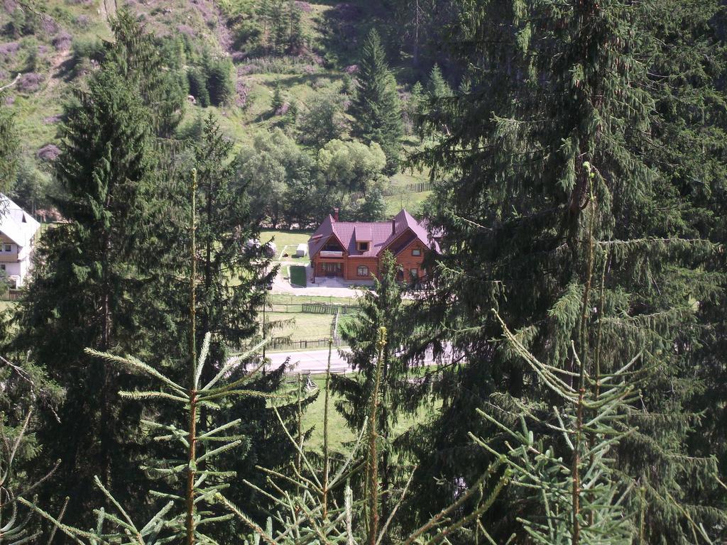 Cabana Piatra Runcului Vatra Moldoviţei Zewnętrze zdjęcie